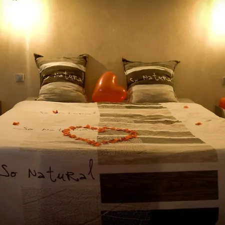 Le Loft A Bulles Appartement Straatsburg